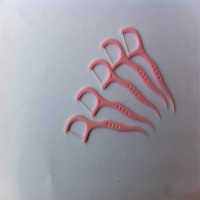 New Mould Acceptable Dental Teeth Floss Brush Picks Mould